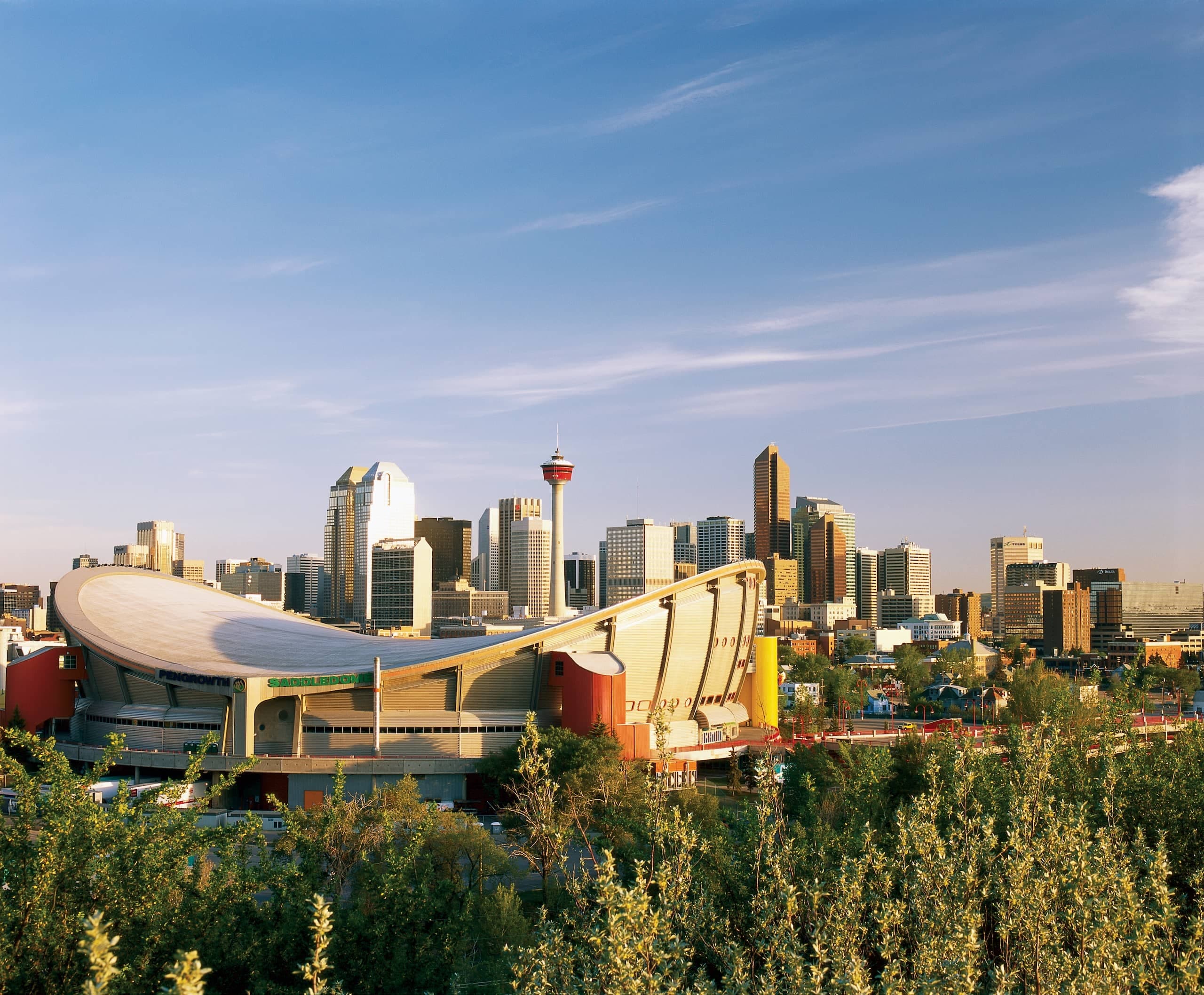 Calgary Urban Adventure: City Highlights Half Day Tour