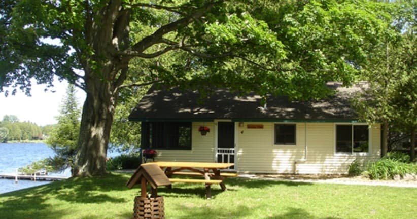 Lakeside cabin and picnic under large shade tree by lake