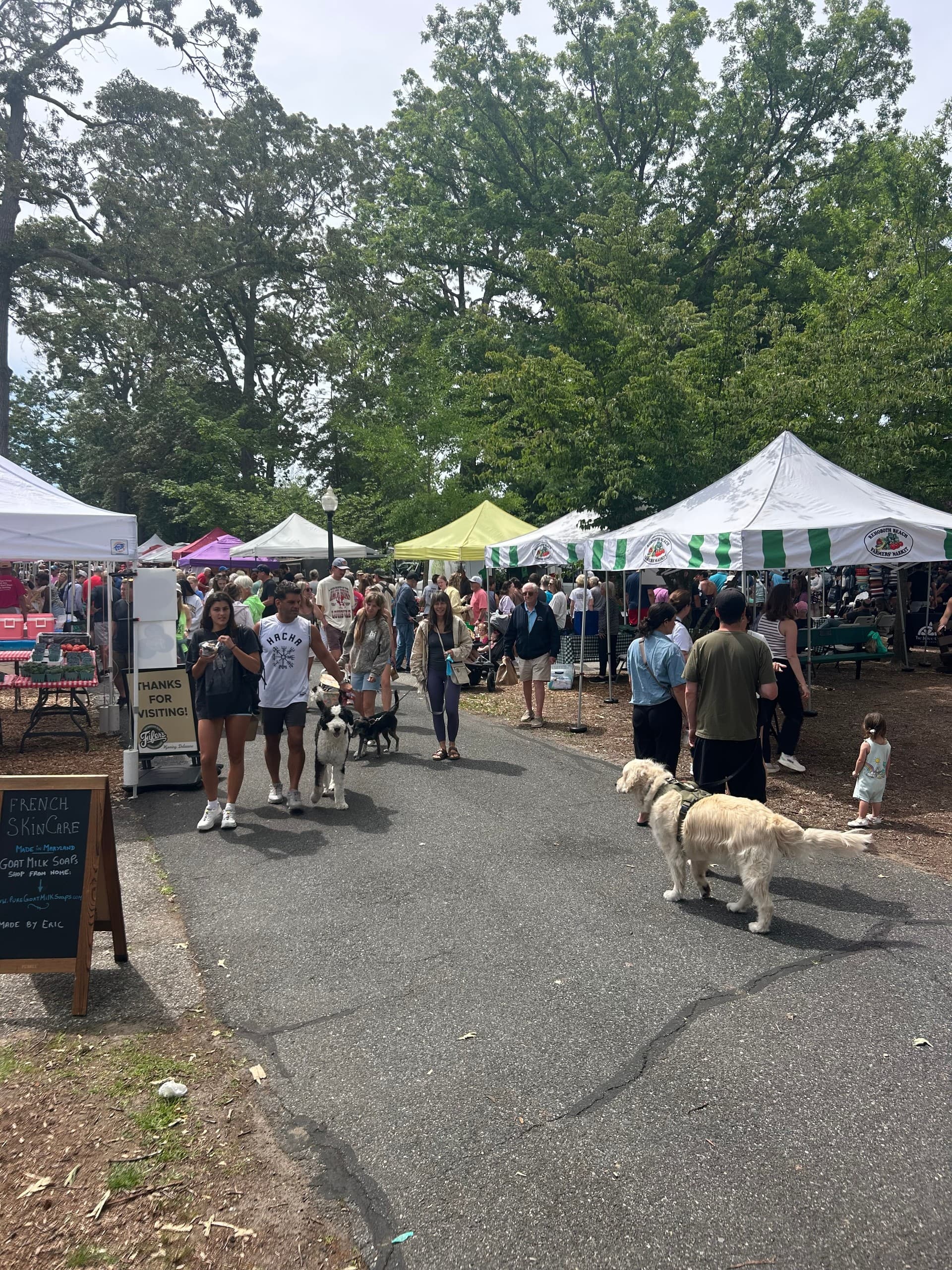 Morning Farmers Market Cruise from Dewey Beach to Rehoboth Beach