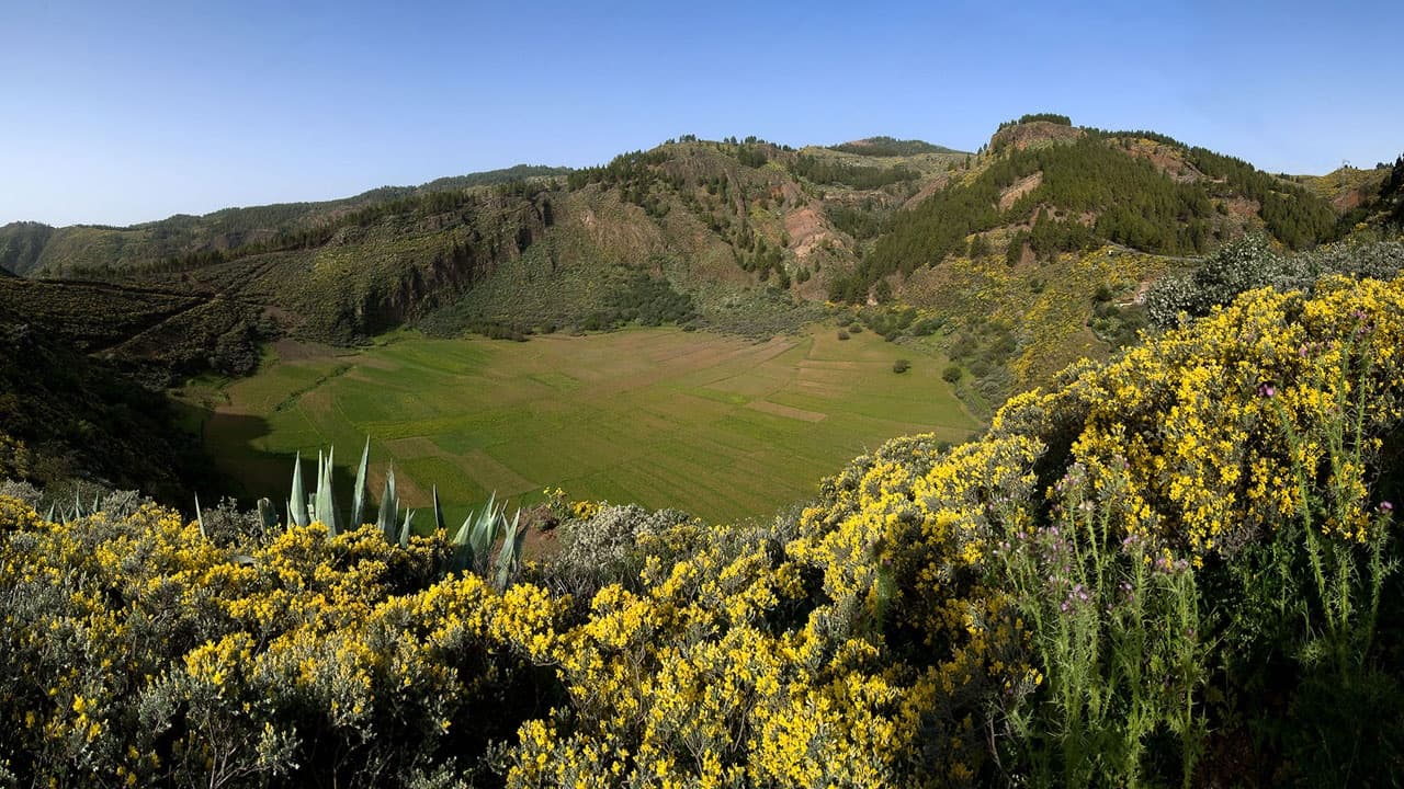 Gran Canaria Histórica: Cultural Journeys with Tour2B