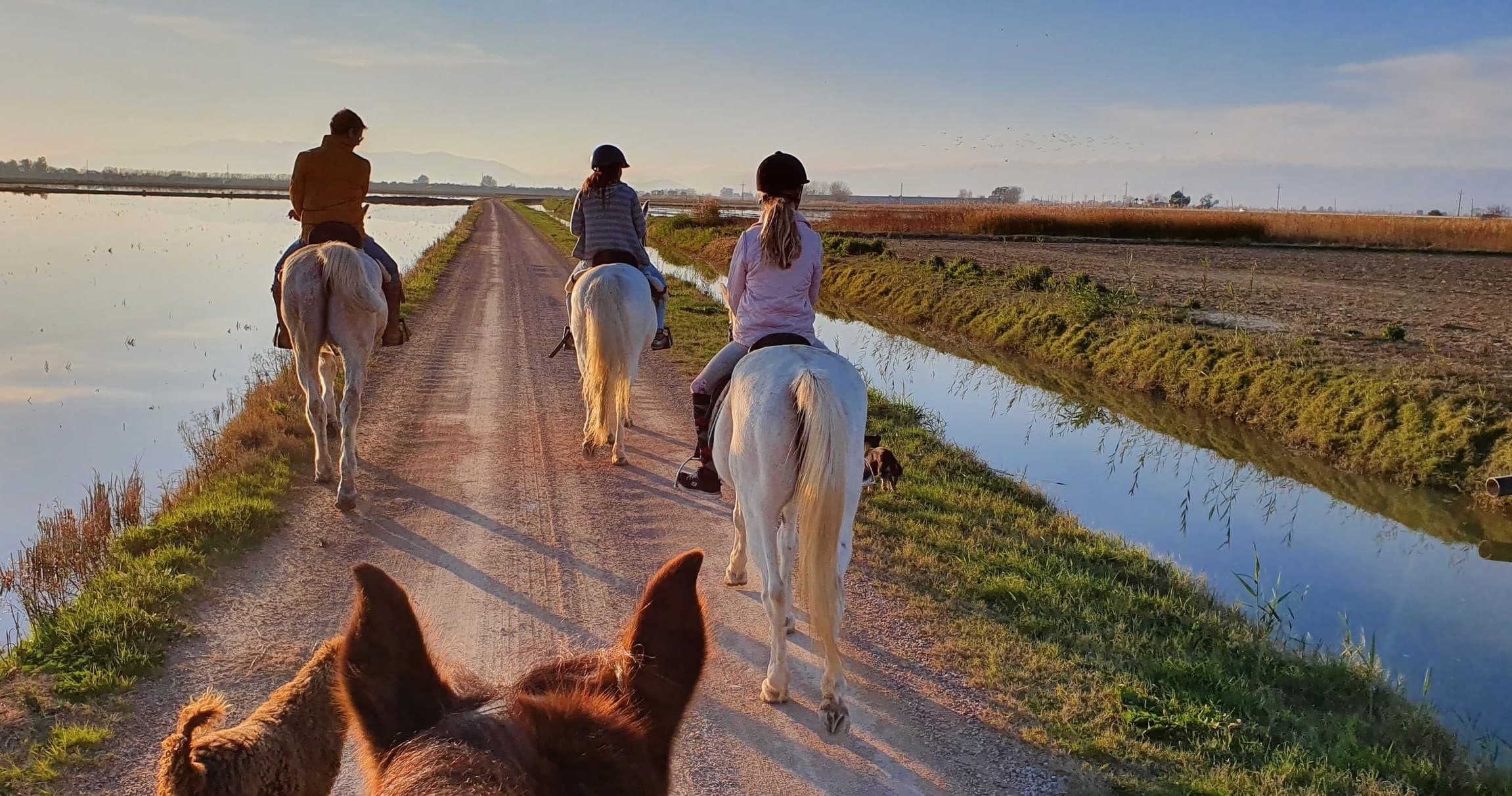 Land Adventure: Horseback Ride at Delta Del Ebro