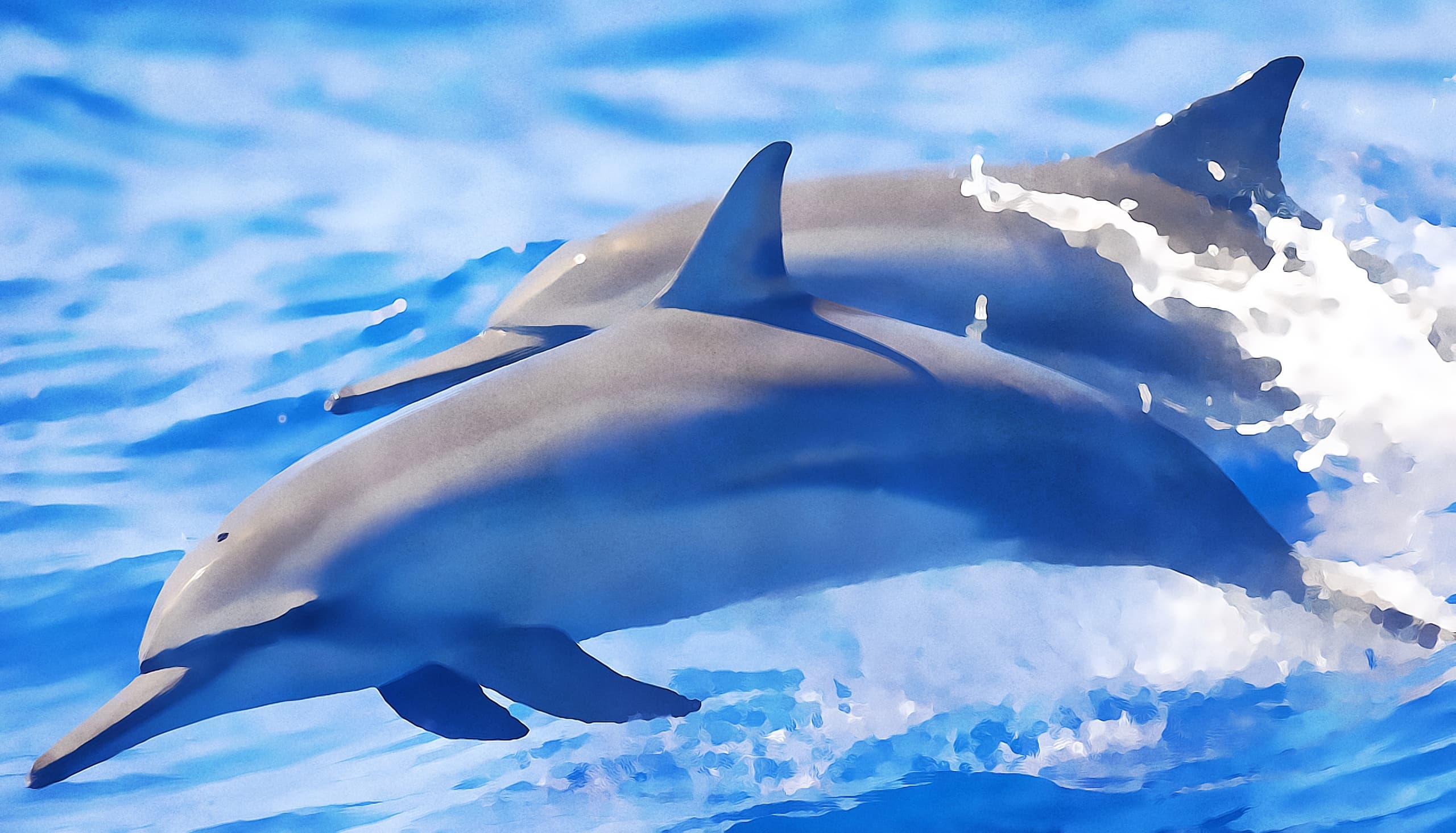 Small Group Snorkel & Dolphin Tour from Keauhou Bay