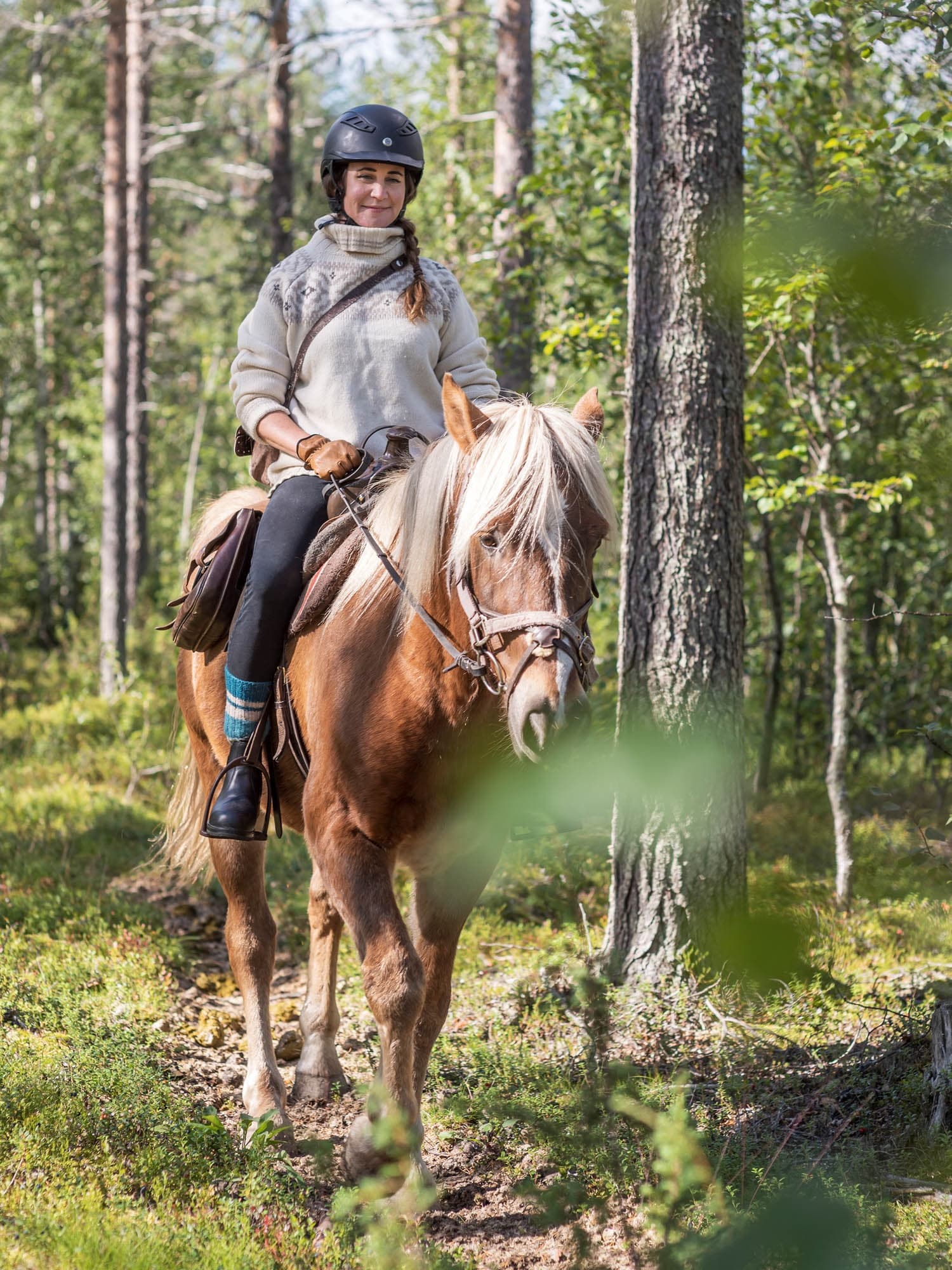 Land Adventures with Polar Lights Tours in Lapland