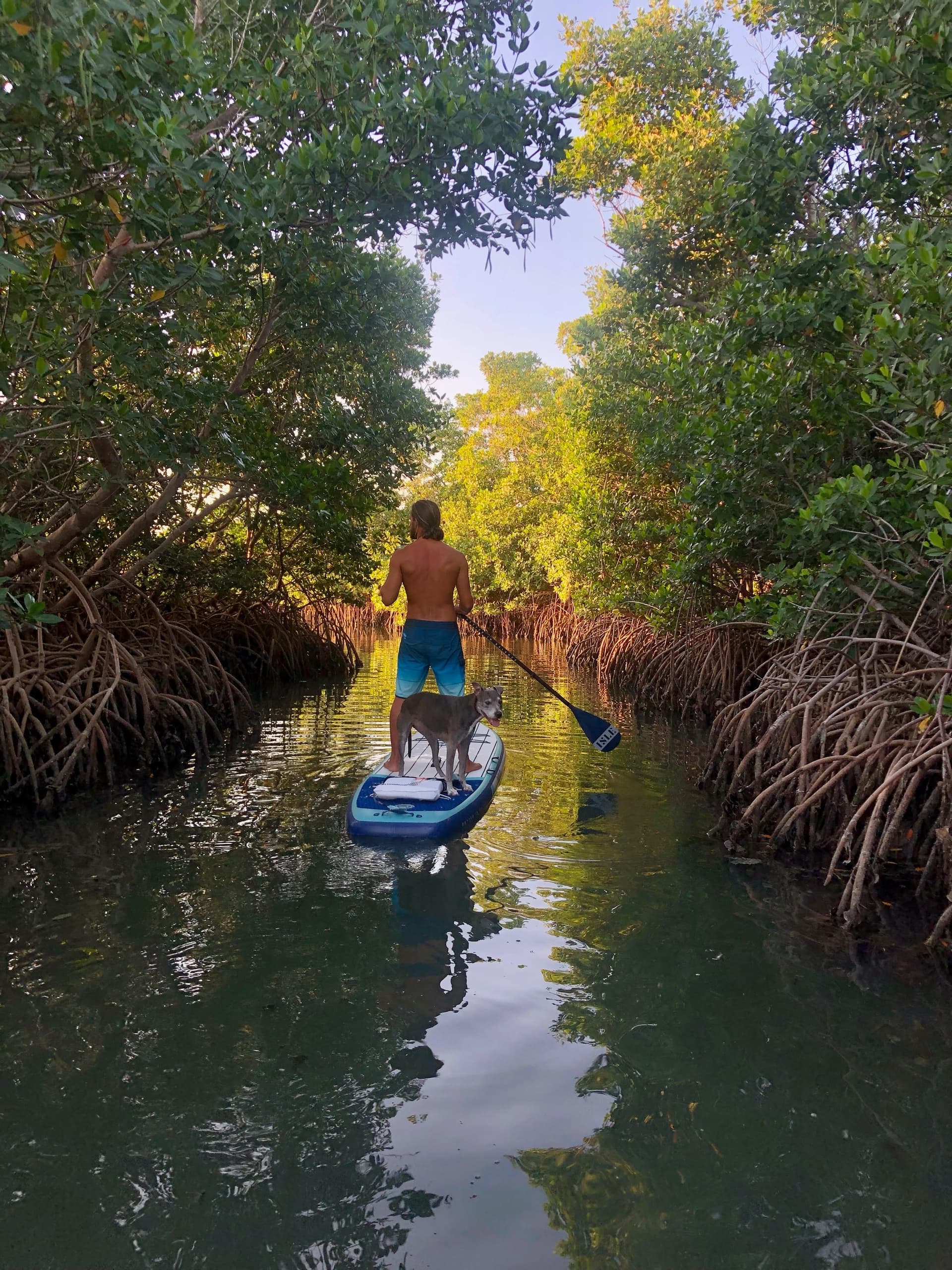 2 Hour Paddleboard Rental at Big Coppitt Key, Florida