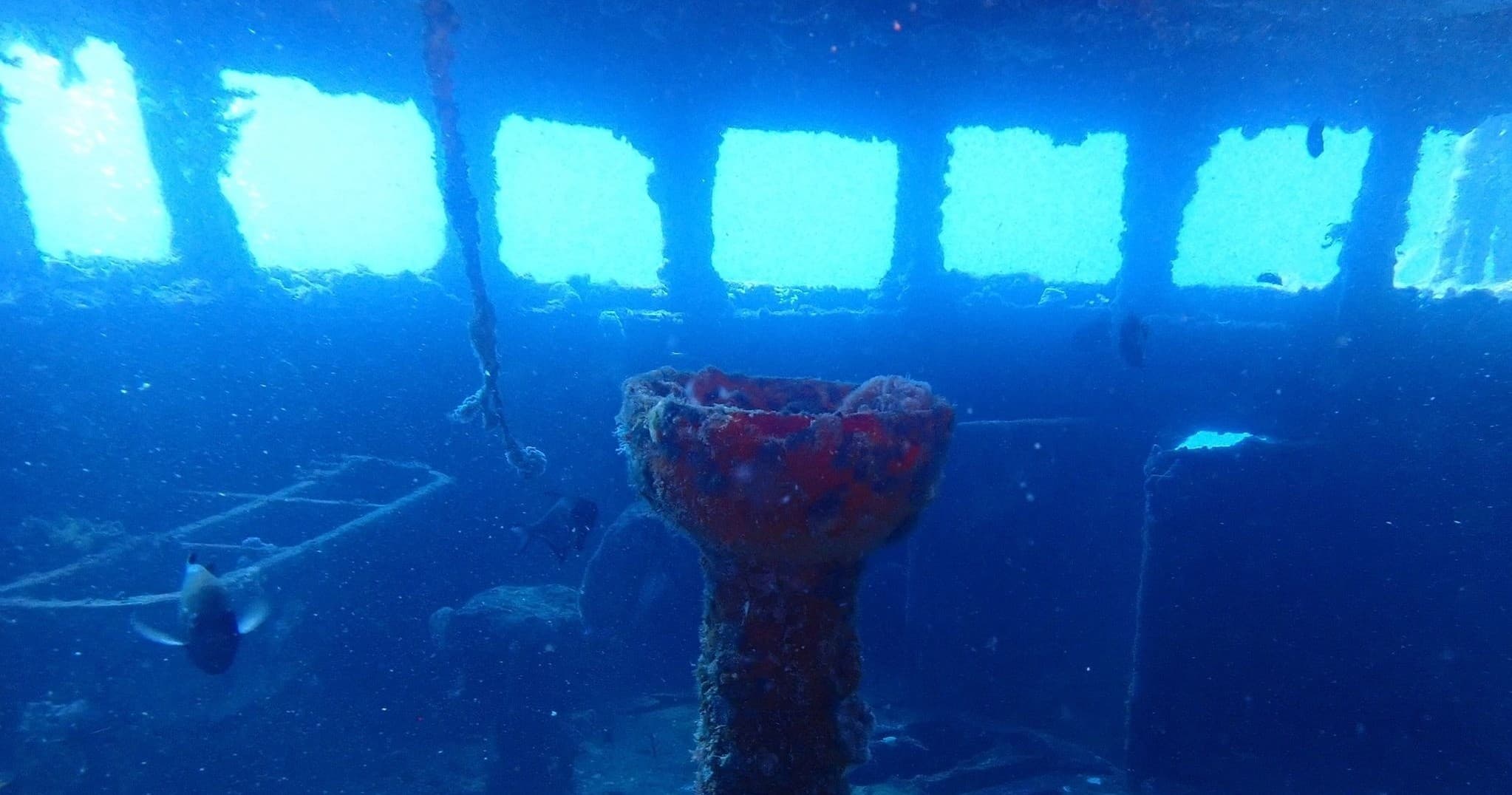 Water-Activities: Delta Sea Divers' Decompression Course