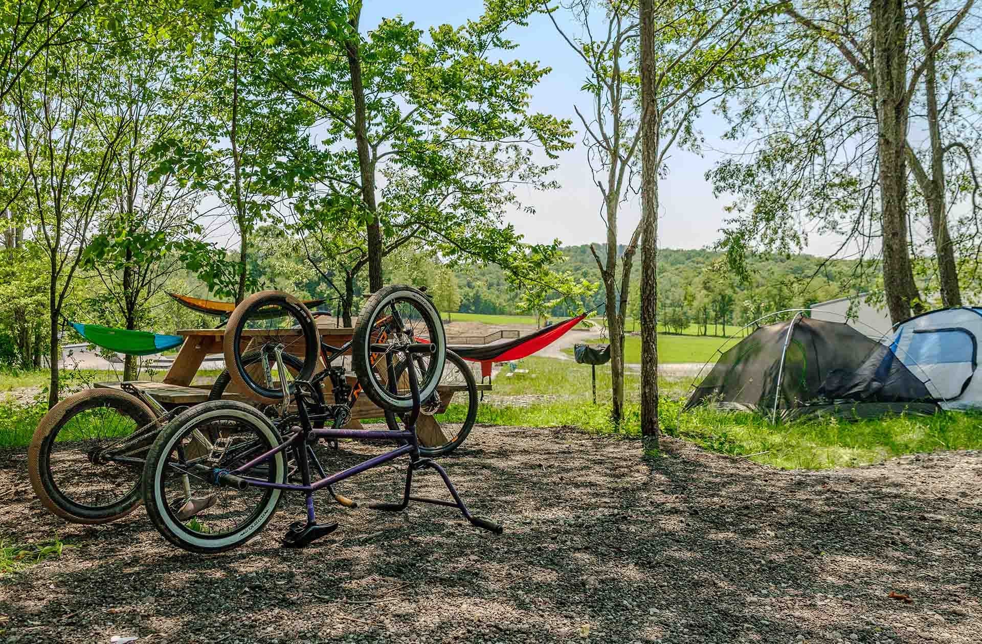 Mountain bikes parked near campsite in wooded trail clearing