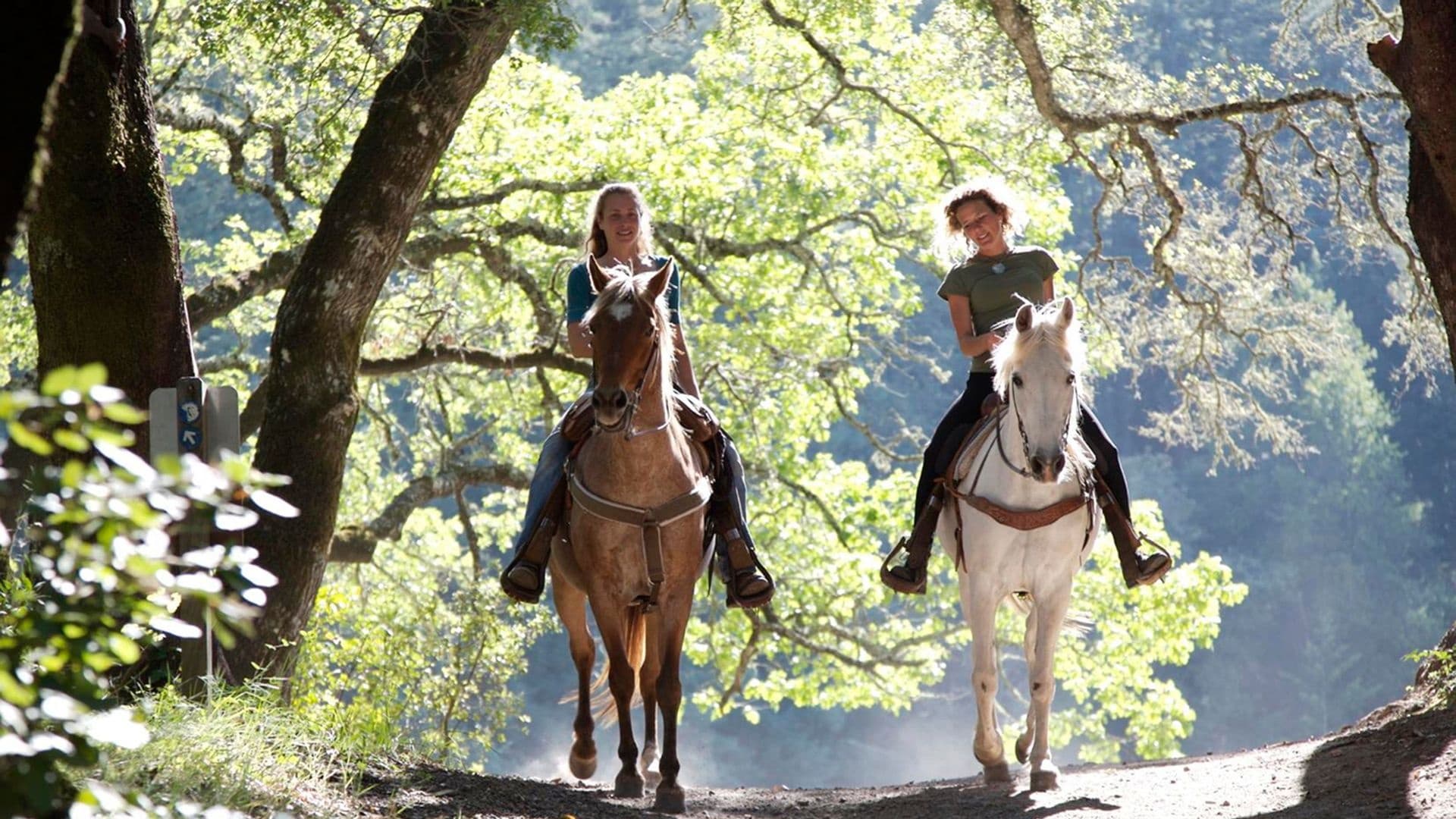 Land Adventures: Wines & Horses with Sydney Top Tours