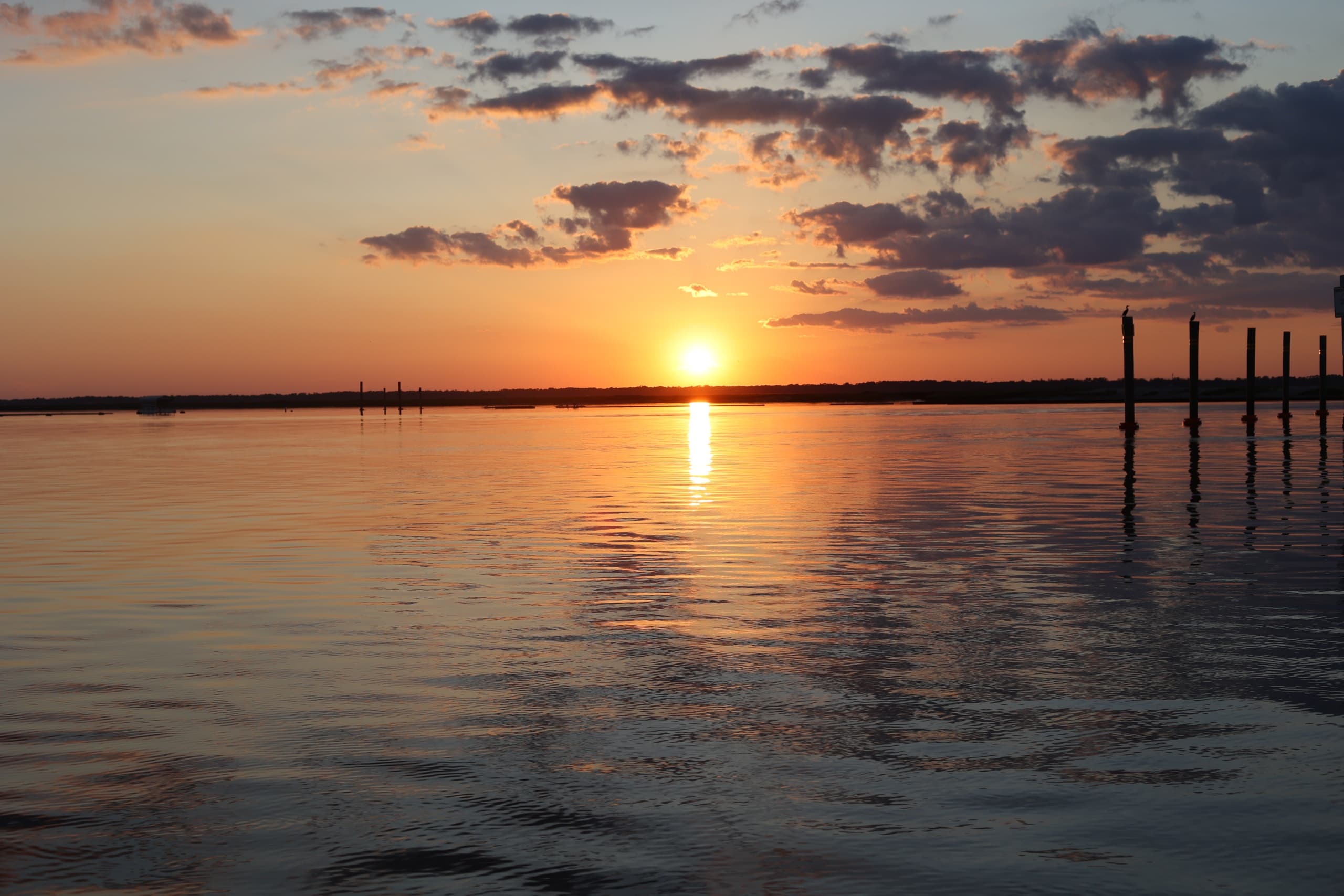 Experience Savannah’s Stunning Lowcountry on a Girl's Night Out Sunset Cruise