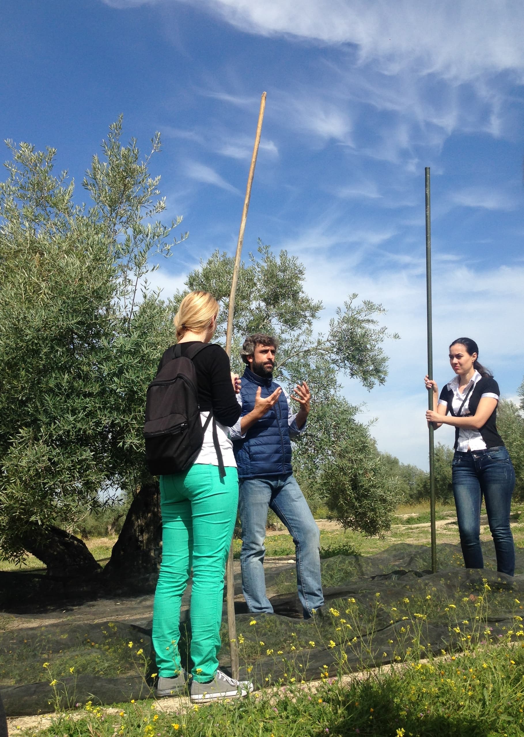 Inside Jaén’s Olive Oil Tradition: Private Mill & Olive Grove Tour in Begíjar photo 2