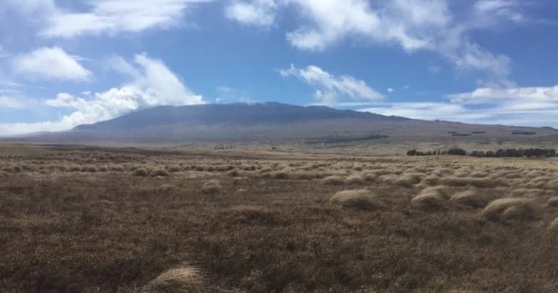 Big Volcano Adventure with The Volcano Van on Hawaii's Big Island