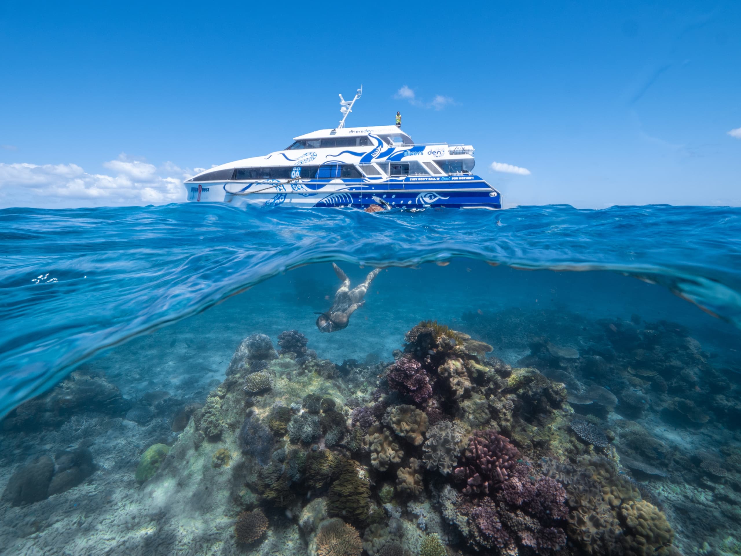 Split-level shot of dive vessel over coral, underwater reef view