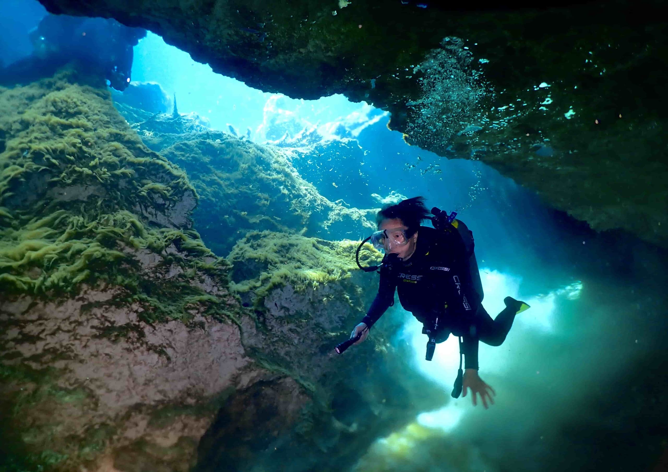 Casa Cenote and Reef Dive: 2-Tank Day Trip from Tulum