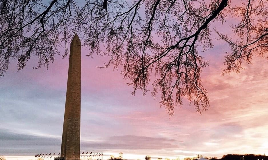 Explore Washington DC’s National Mall on a Semi-Private Guided Walking Tour with Washington Monument Entry