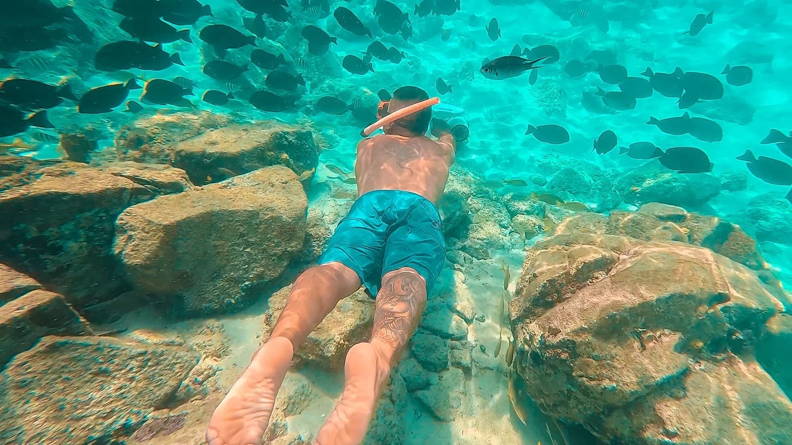 Mangel Halto Tour: Private Snorkel Charters & Underwater Scooters in Aruba