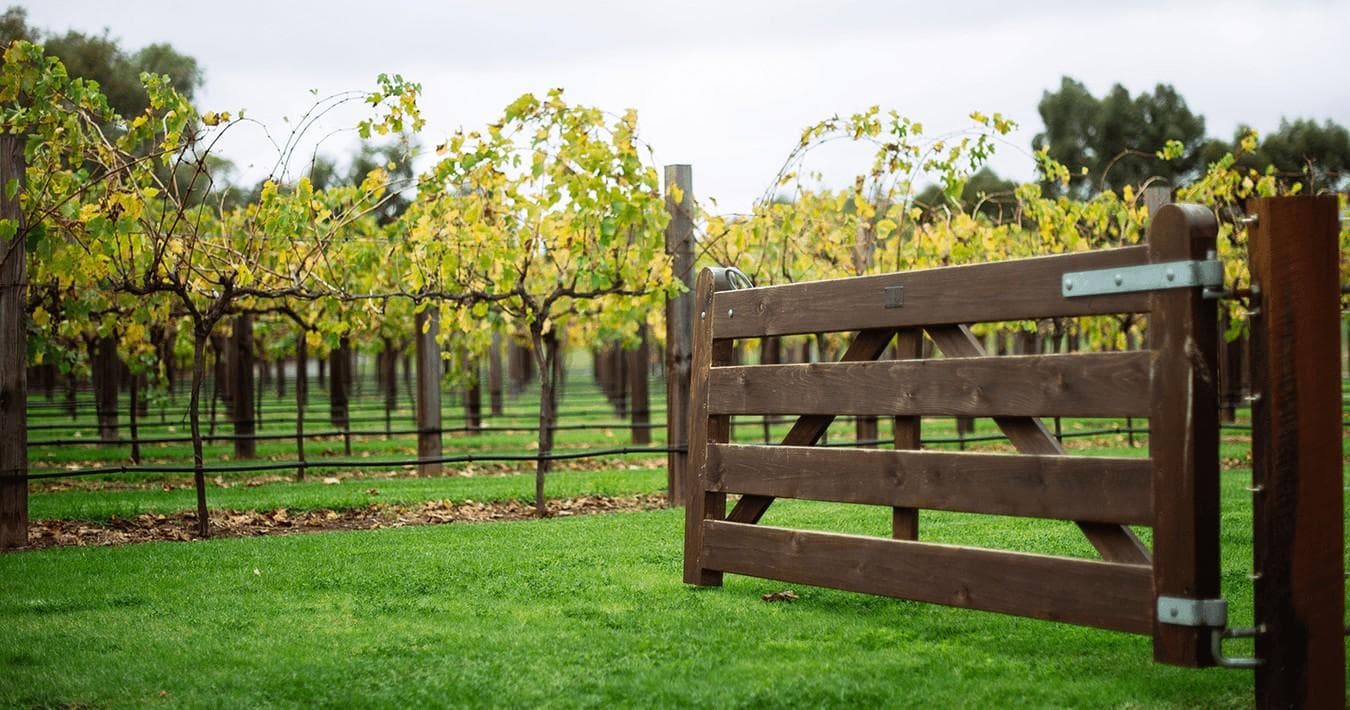 Wine & Food Adventure with Barossa Sensations