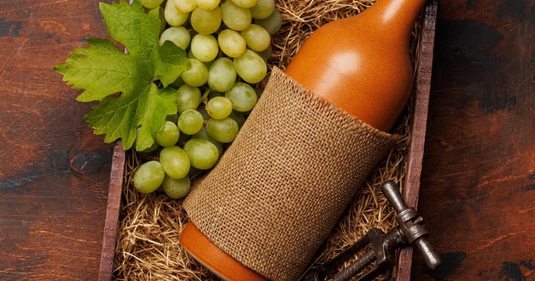 Cork & Terroir Wine Experience | Farm in Igrejinha | Winery, Wine