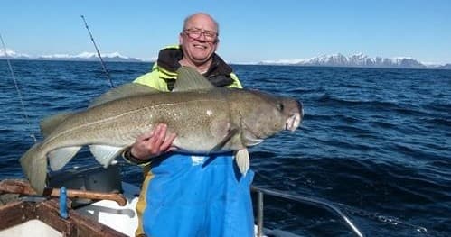 No Problem Sportfishing fleet