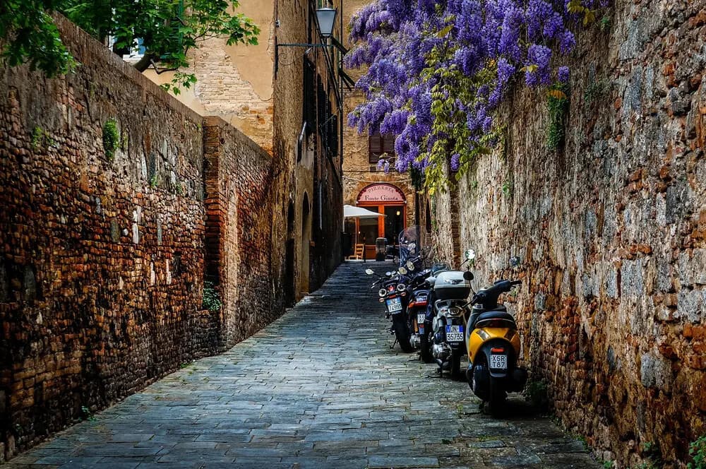 Trastevere & Jewish Ghetto Walking Tour with Pizza Tasting in Rome photo 4