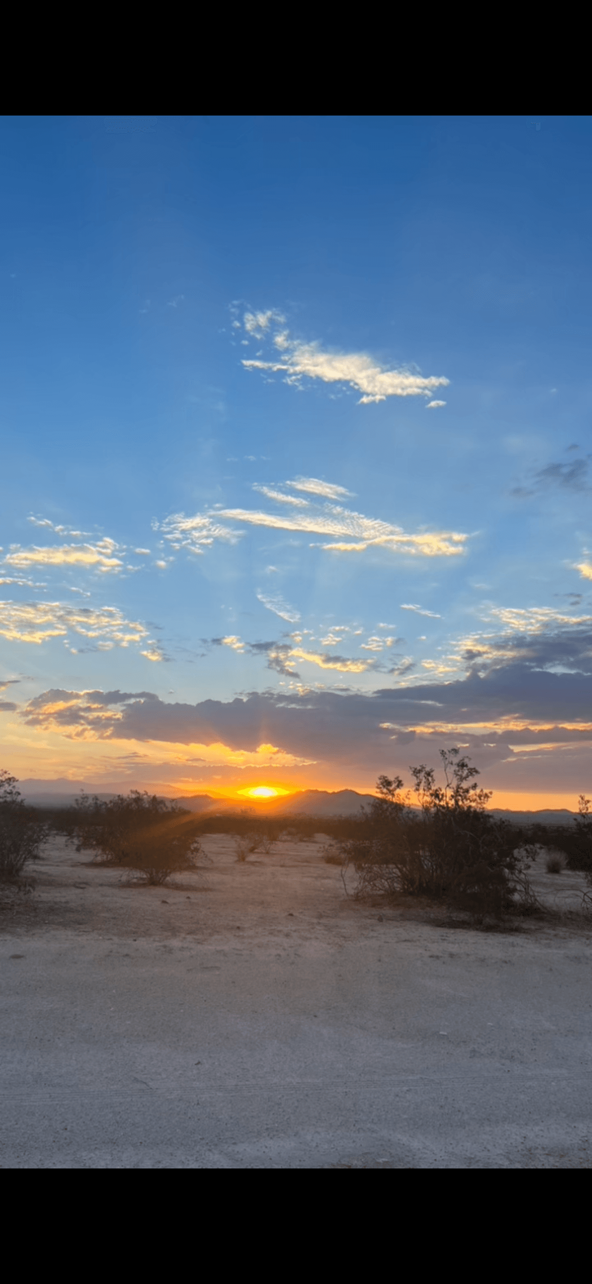 Land Adventure at Cascade Trails Mustang Sanctuary