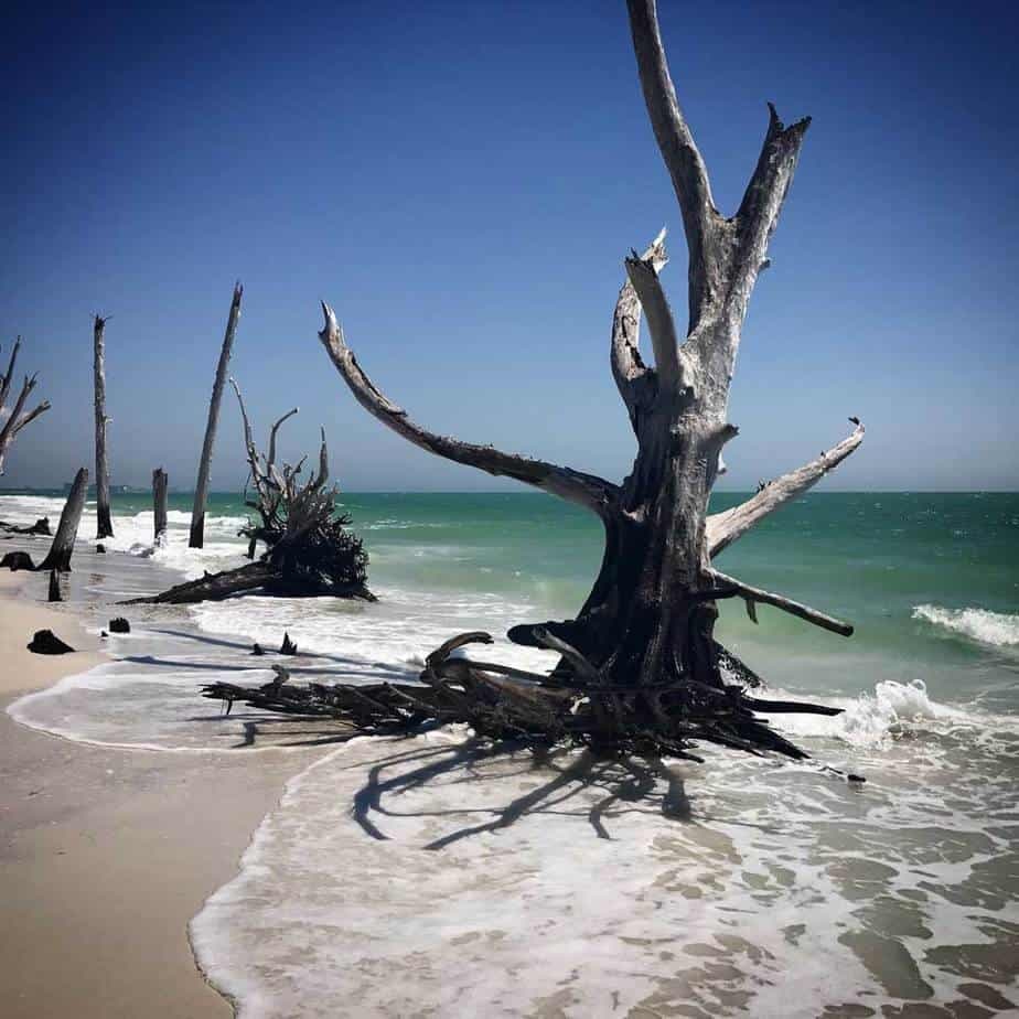Water Adventures at Lovers Key with Island Runner Tours in Fort Myers Beach