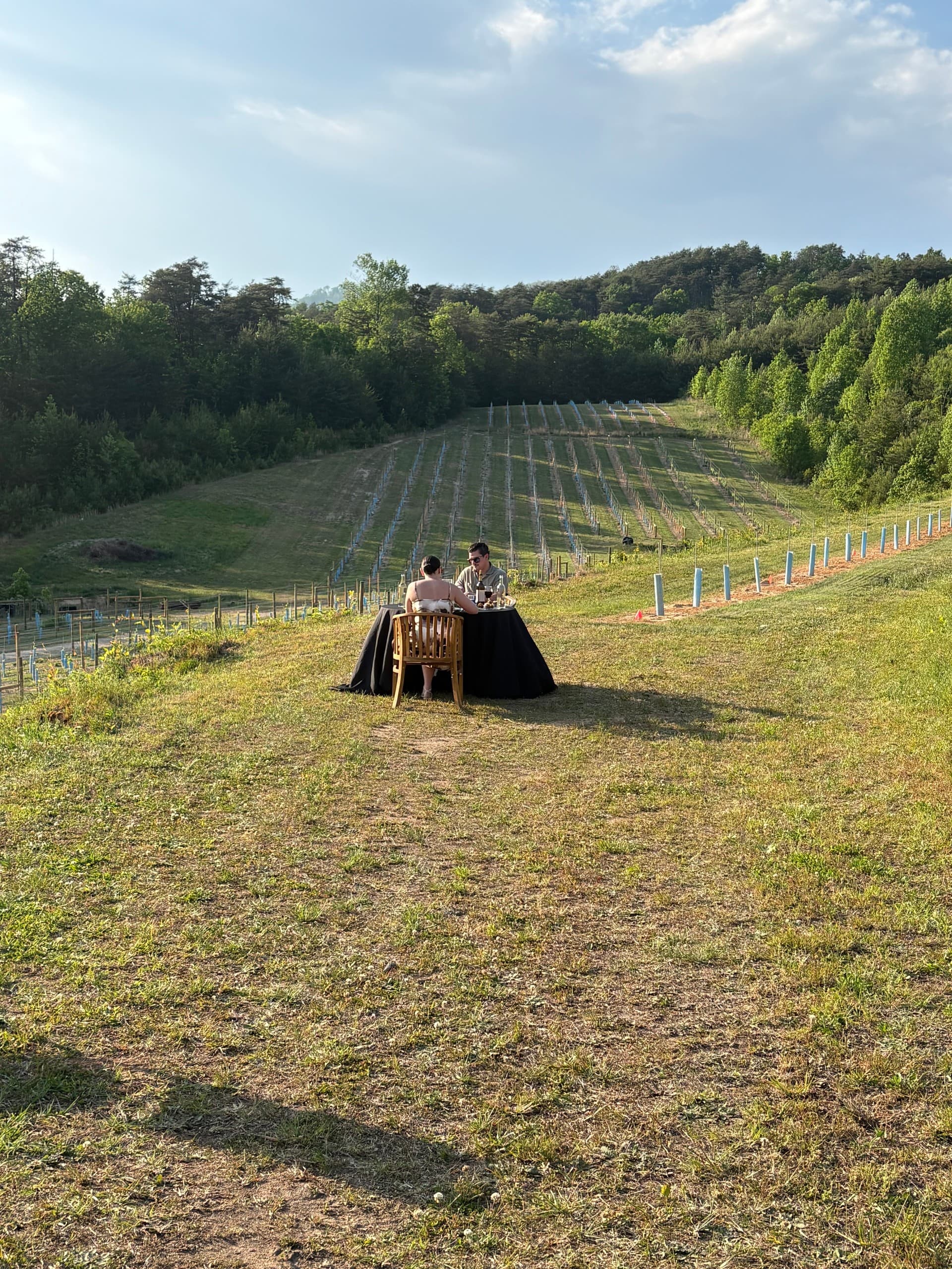 First Friday Dinners at Victoria Valley Vineyards — Upstate South Carolina Wine & Three-Course Dinners photo 1