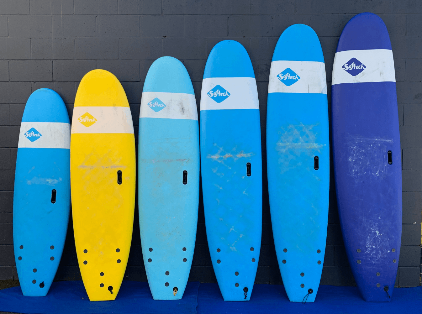 Colorful rental foam boards lined up at surf shop wall