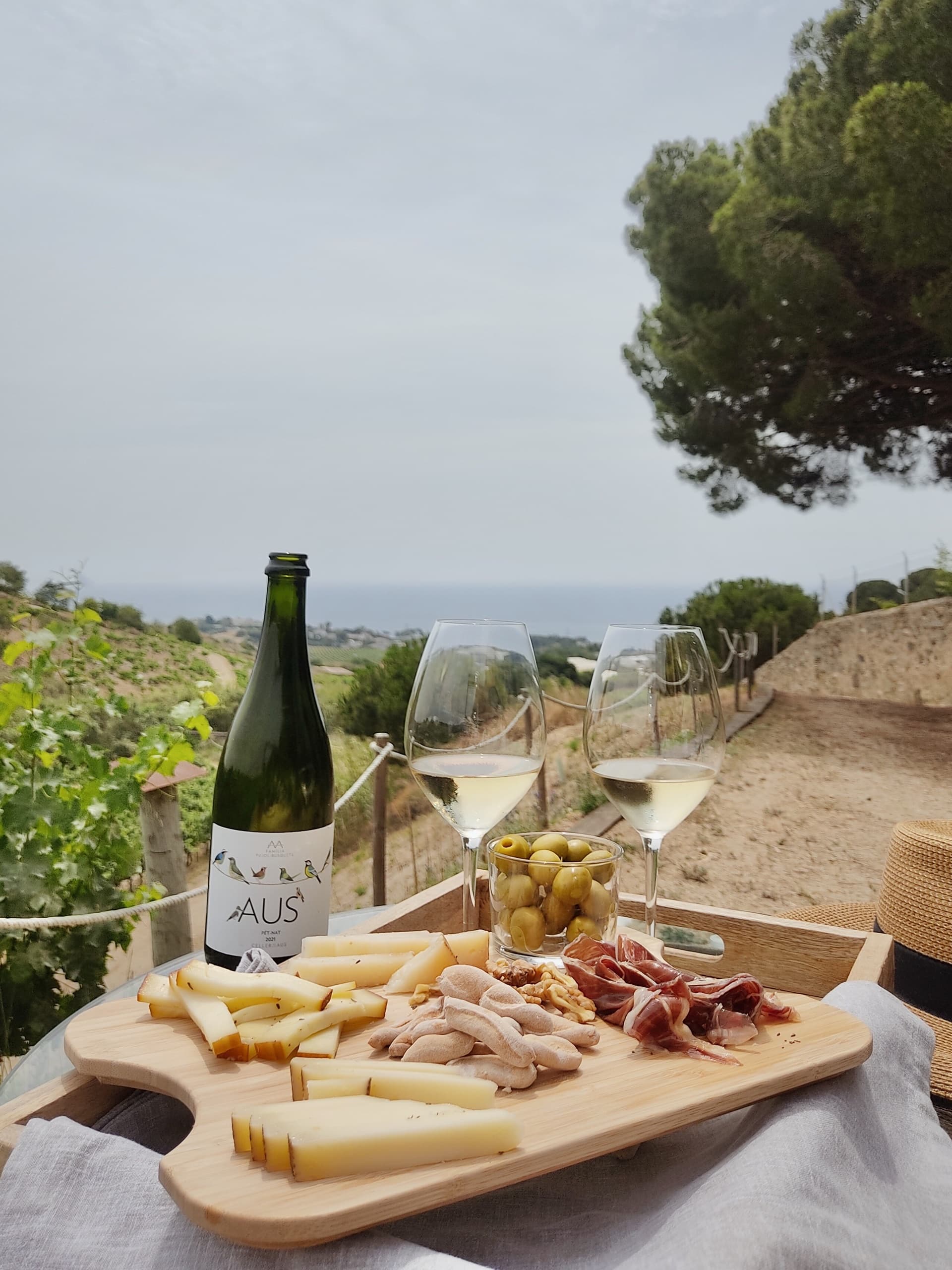 Boat and Cellar with Gotland Charter in Barcelona
