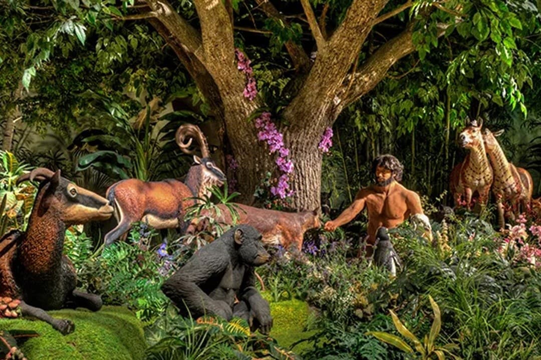 Step Inside Noah’s Ark & the Creation Museum: 3-Day Immersive Mount Pleasant Escape photo 3