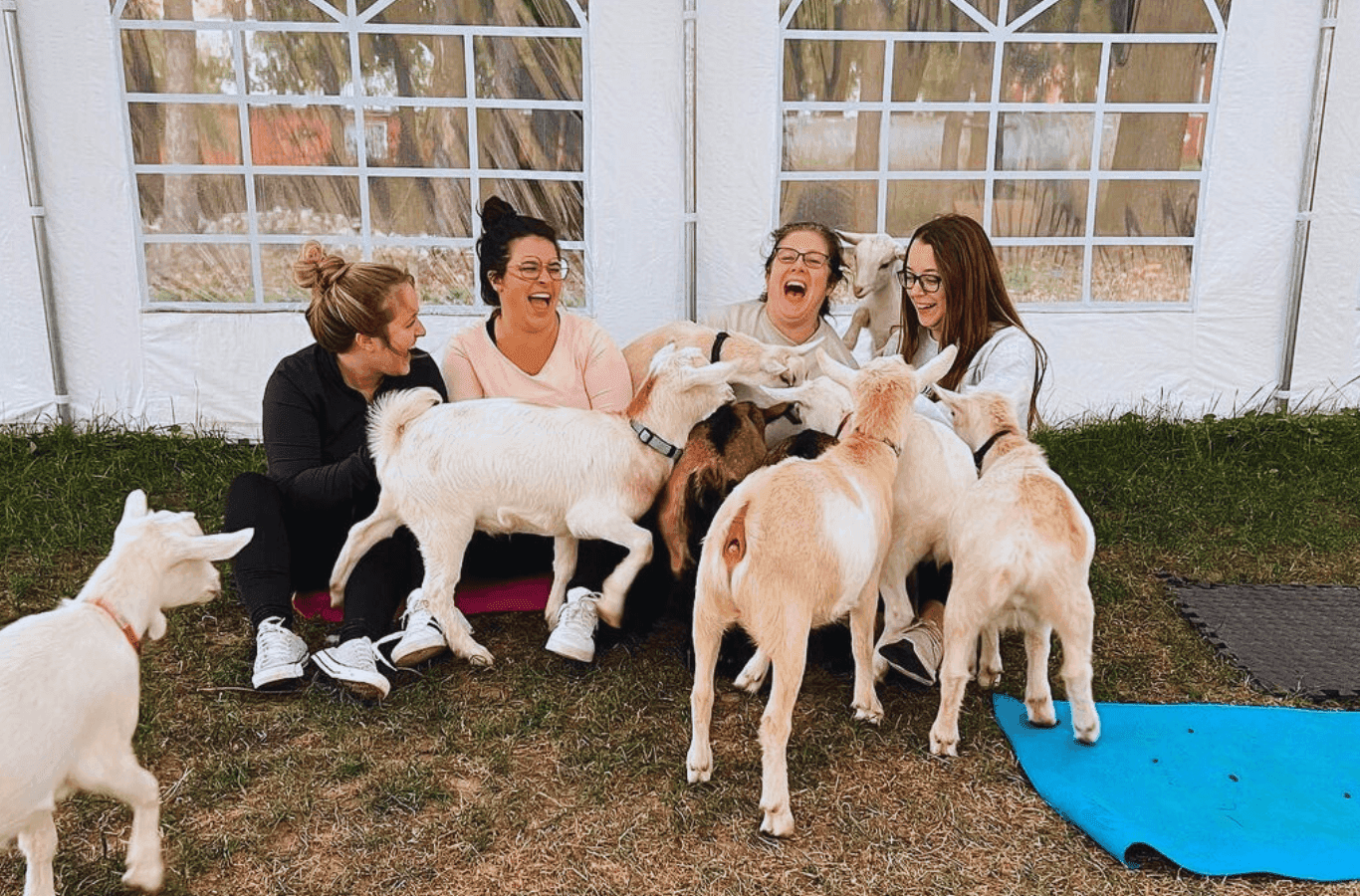 Wildlife & Animal Encounters at Udderly Ridiculous