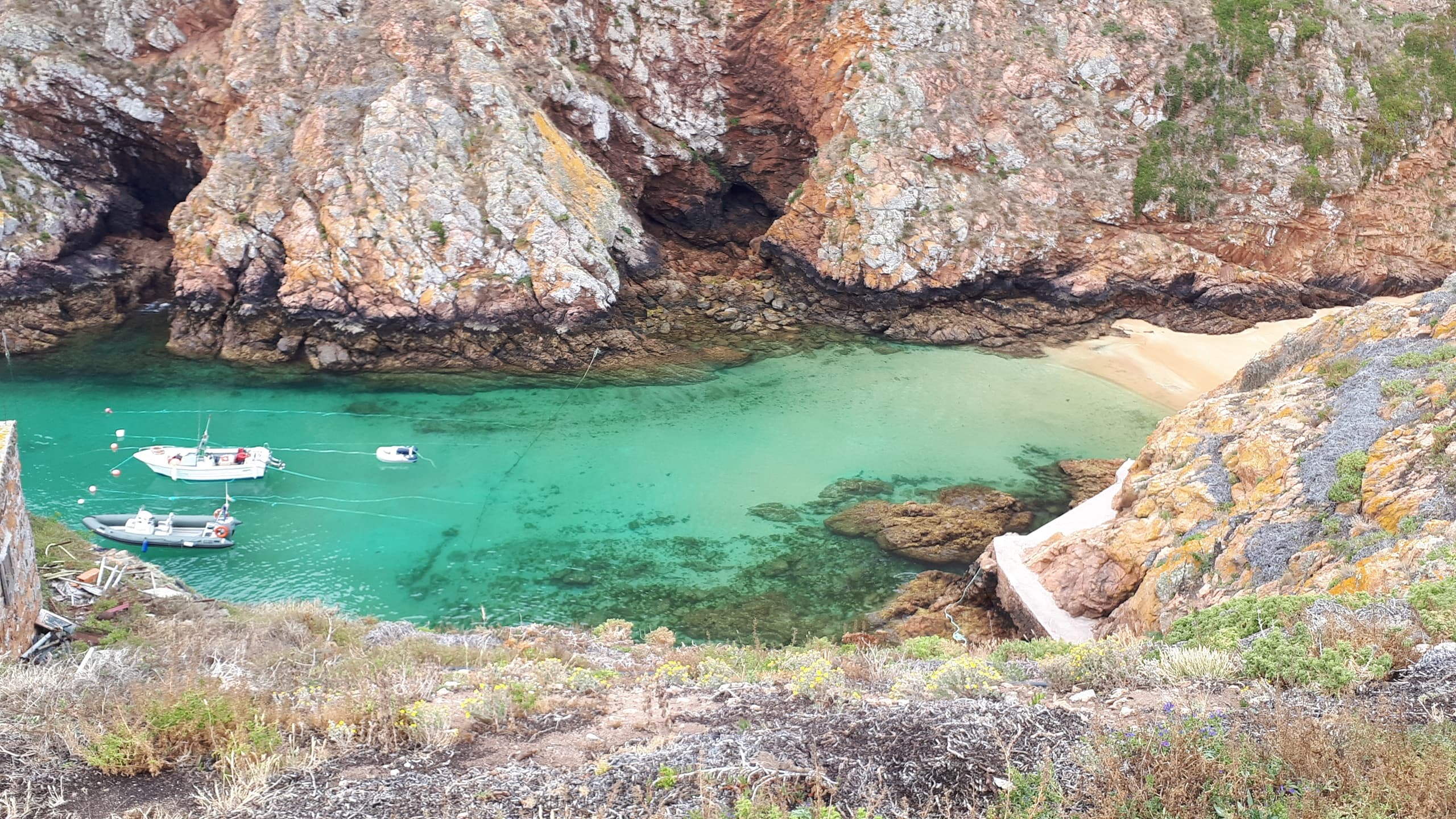 Water Activities & Tours at Berlenga Island with West Portugal Tours
