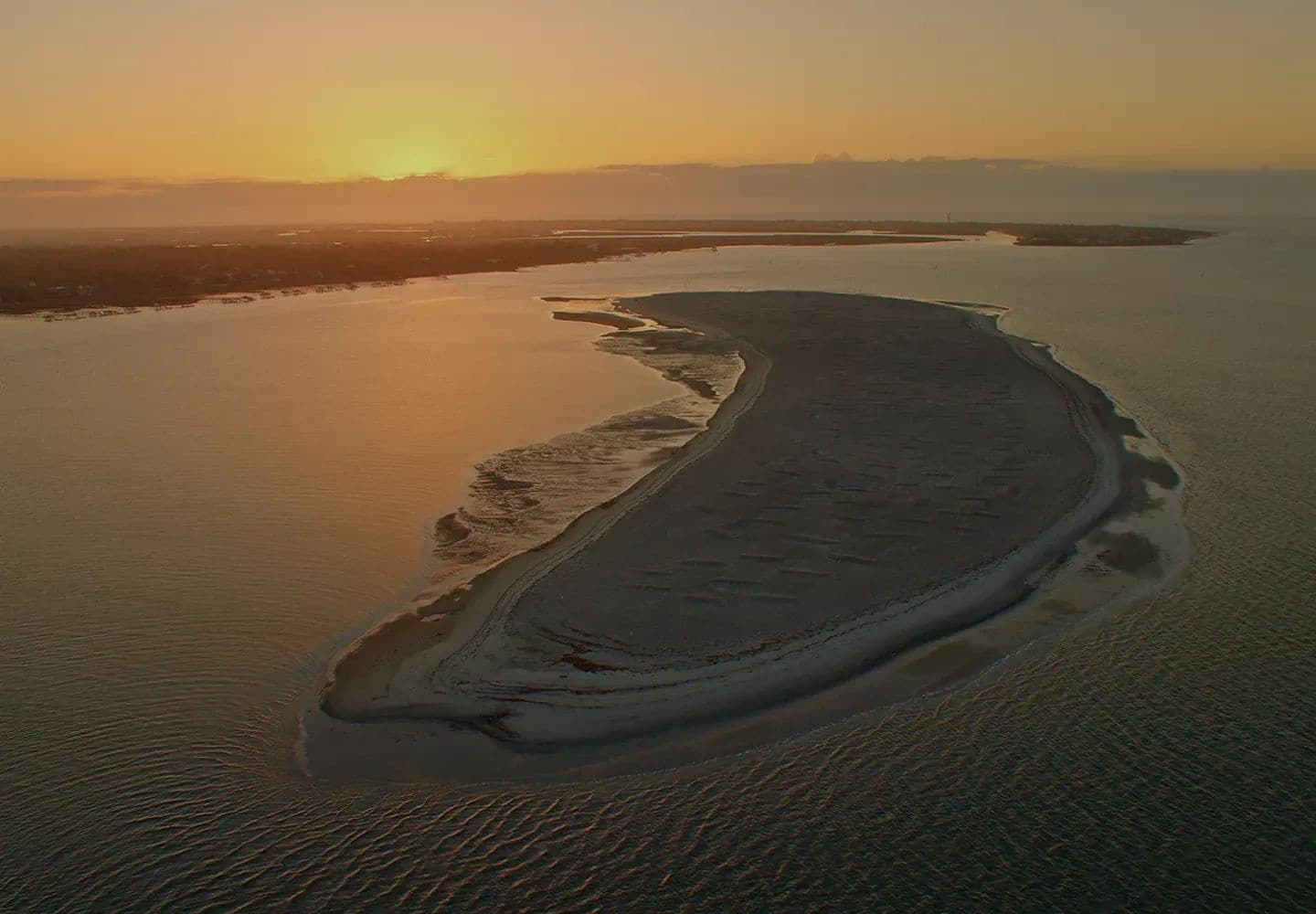 Crab Bank Shark Tooth Trip: 2-Hour Sandbar Adventure from Shem Creek