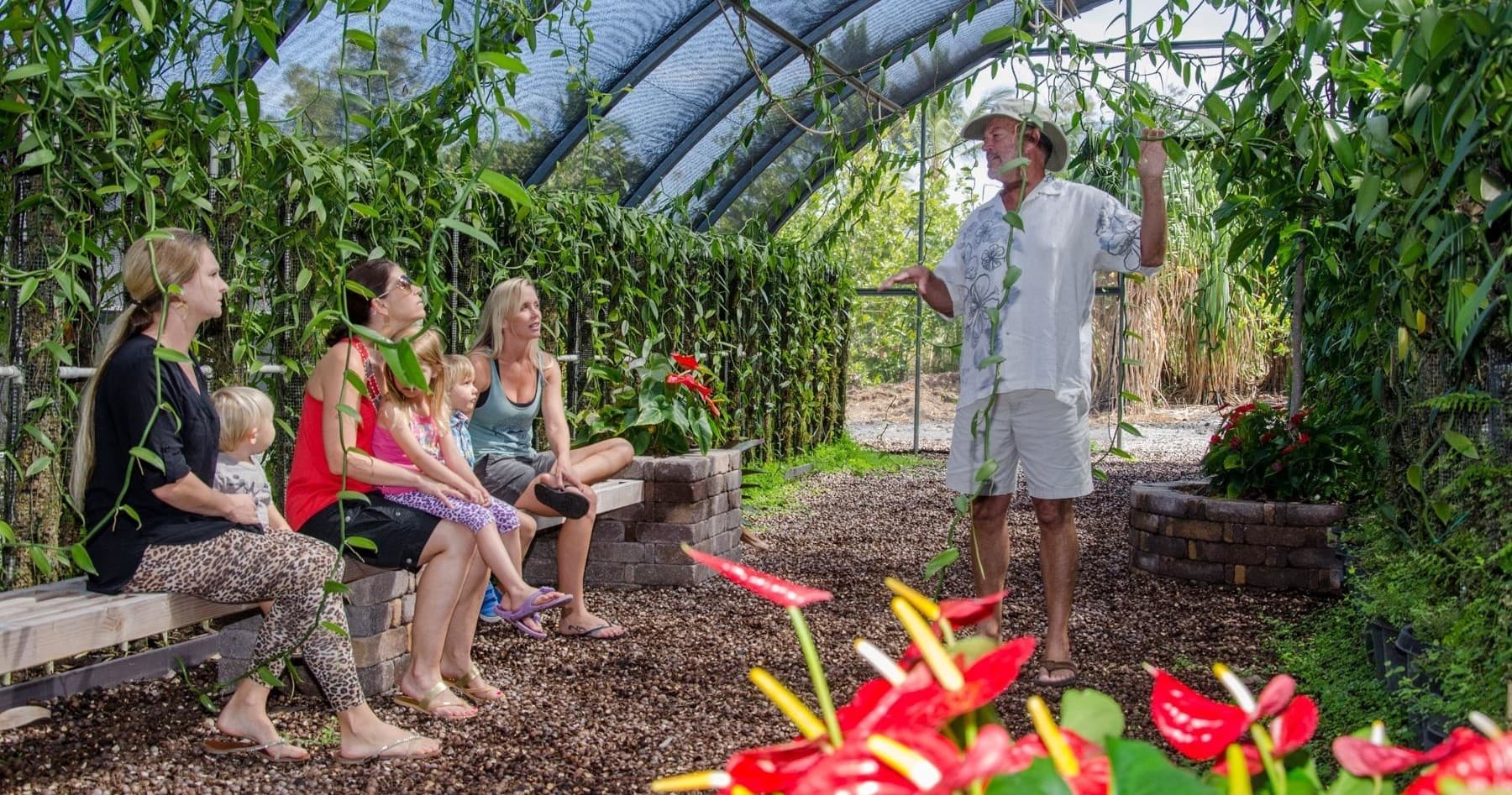 Guide leading group tour inside tropical vanilla greenhouse