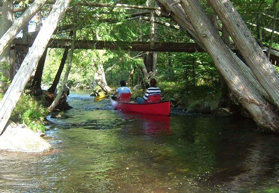 Paddle the Bois Brule: Stones to Winneboujou — Easy 10-Mile Family Float