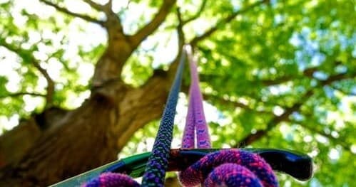 Experience the Thrill of Tree Top Trials by Night in the UK: A Unique High-Flying Adventure