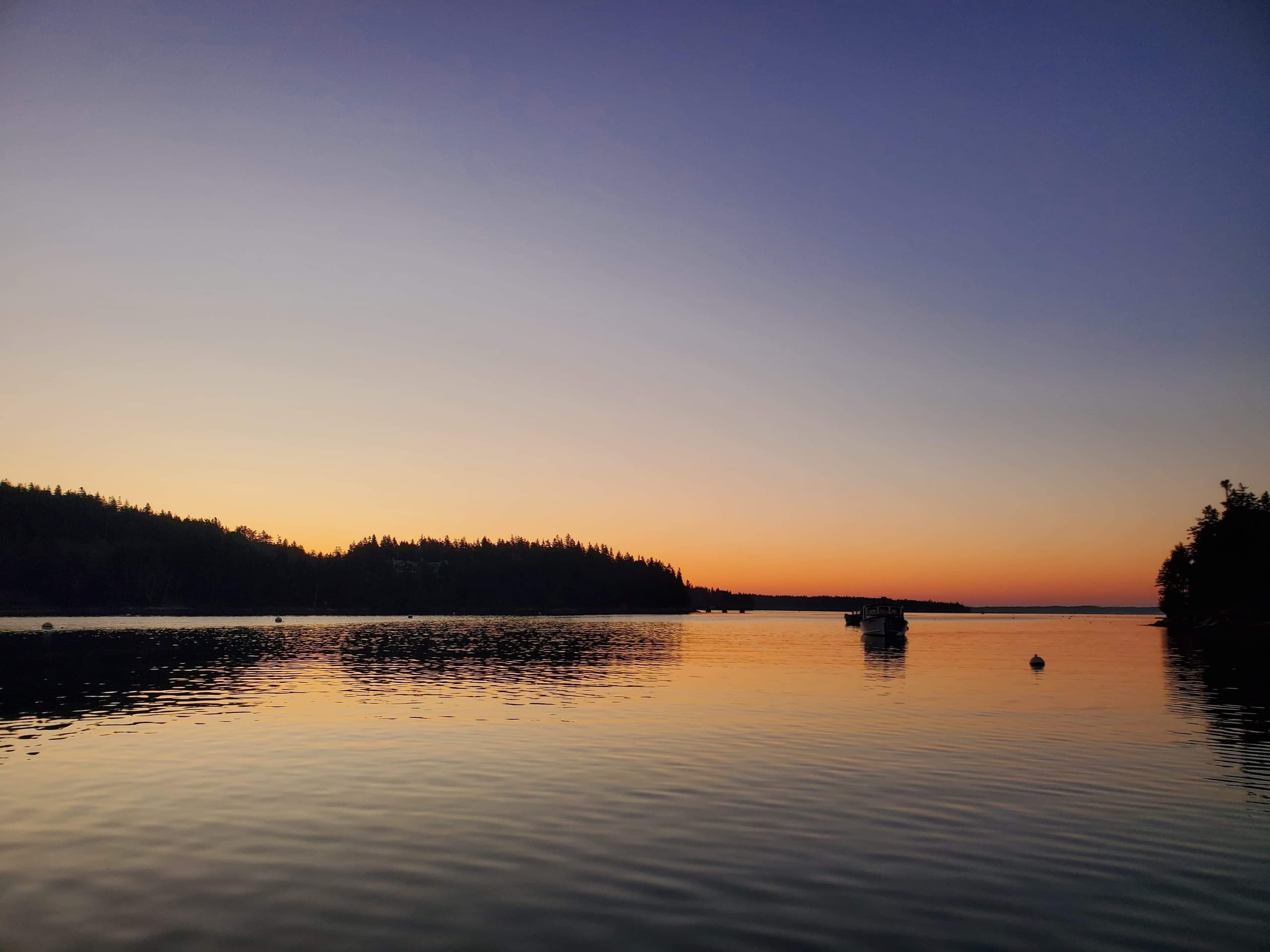 Water Activities & Ferry Tours with Beal & Bunker in Maine