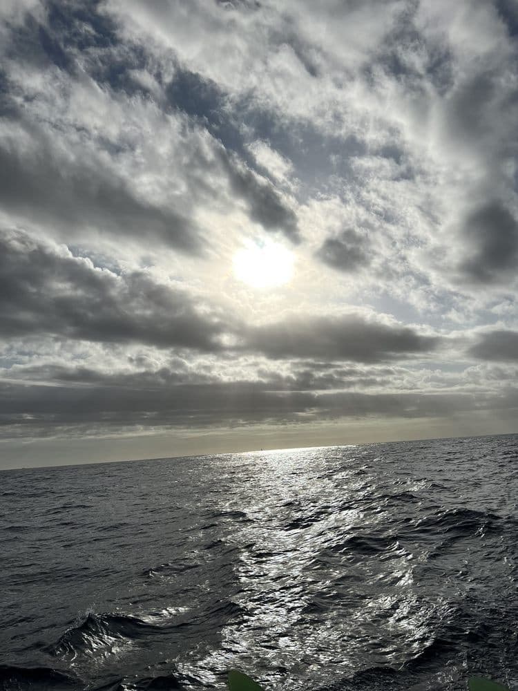 Best Waikiki Fireworks Cruise: Sunset Sail from Kewalo Basin photo 4