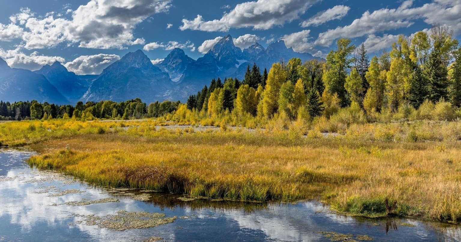 Full Day Tours with Teton Reverra in Jackson, WY