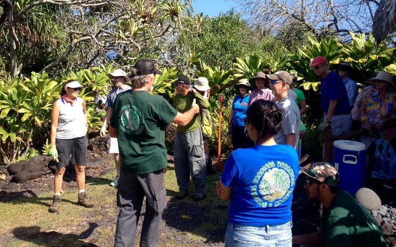 Guided Tour at Kahanu Garden in Hana, Maui