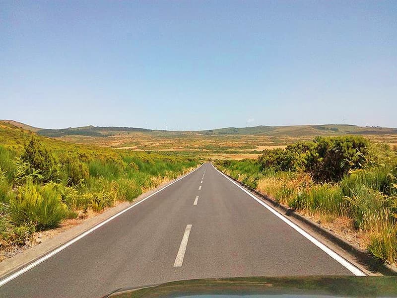 Madeira West Tour: Off-Road Paúl da Serra, Fanal Forest & Poncha Tasting photo 4
