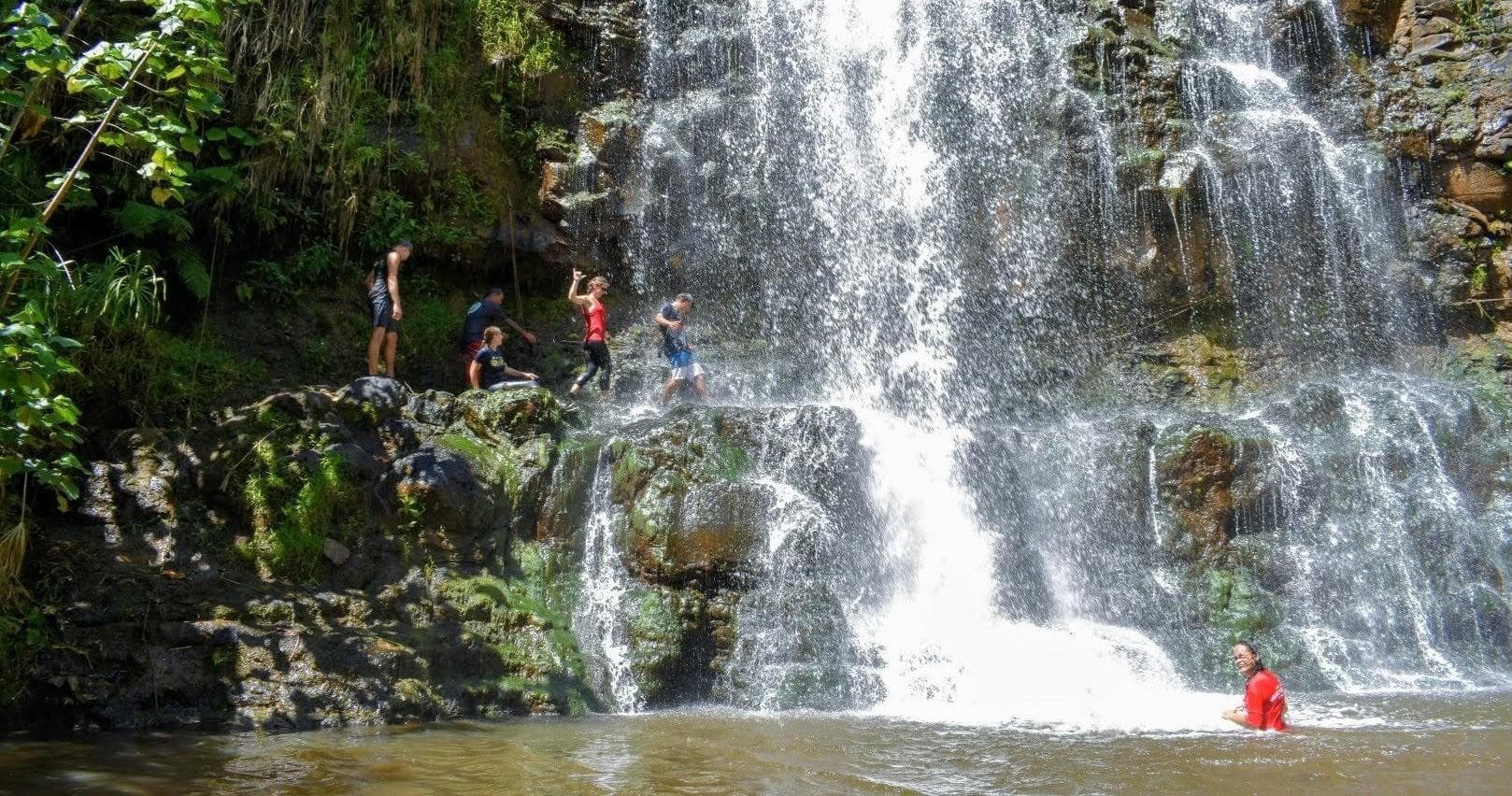 Waterfall hiking spot with swimmers in lush Kauai gorge