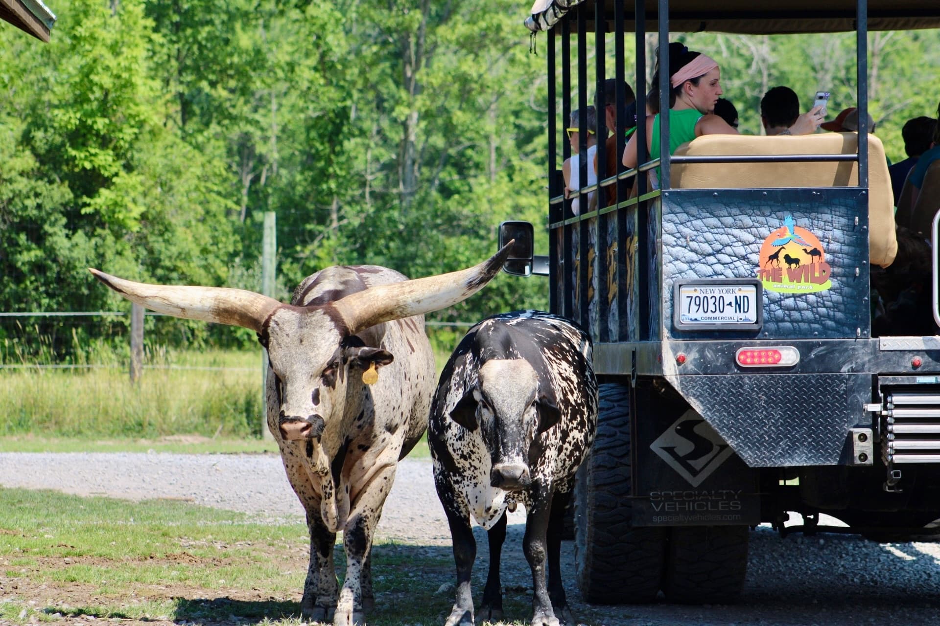Wildlife Photography Experience at The Wild Animal Park