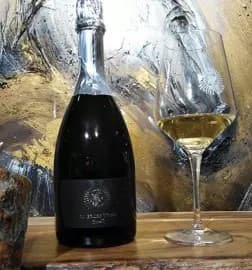 Authentic Wine Tasting and Culinary Tour in Monteforte d’Alpone, Veneto