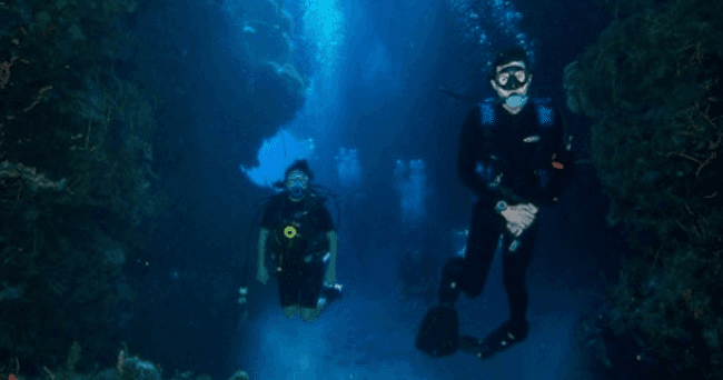Water Activities with Deep Life in Cozumel: Discover Clear Caribbean Waters
