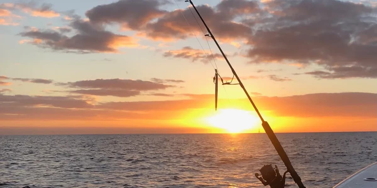 Sunset Cruise with Islamorada Spearfishing Adventures in Tavernier