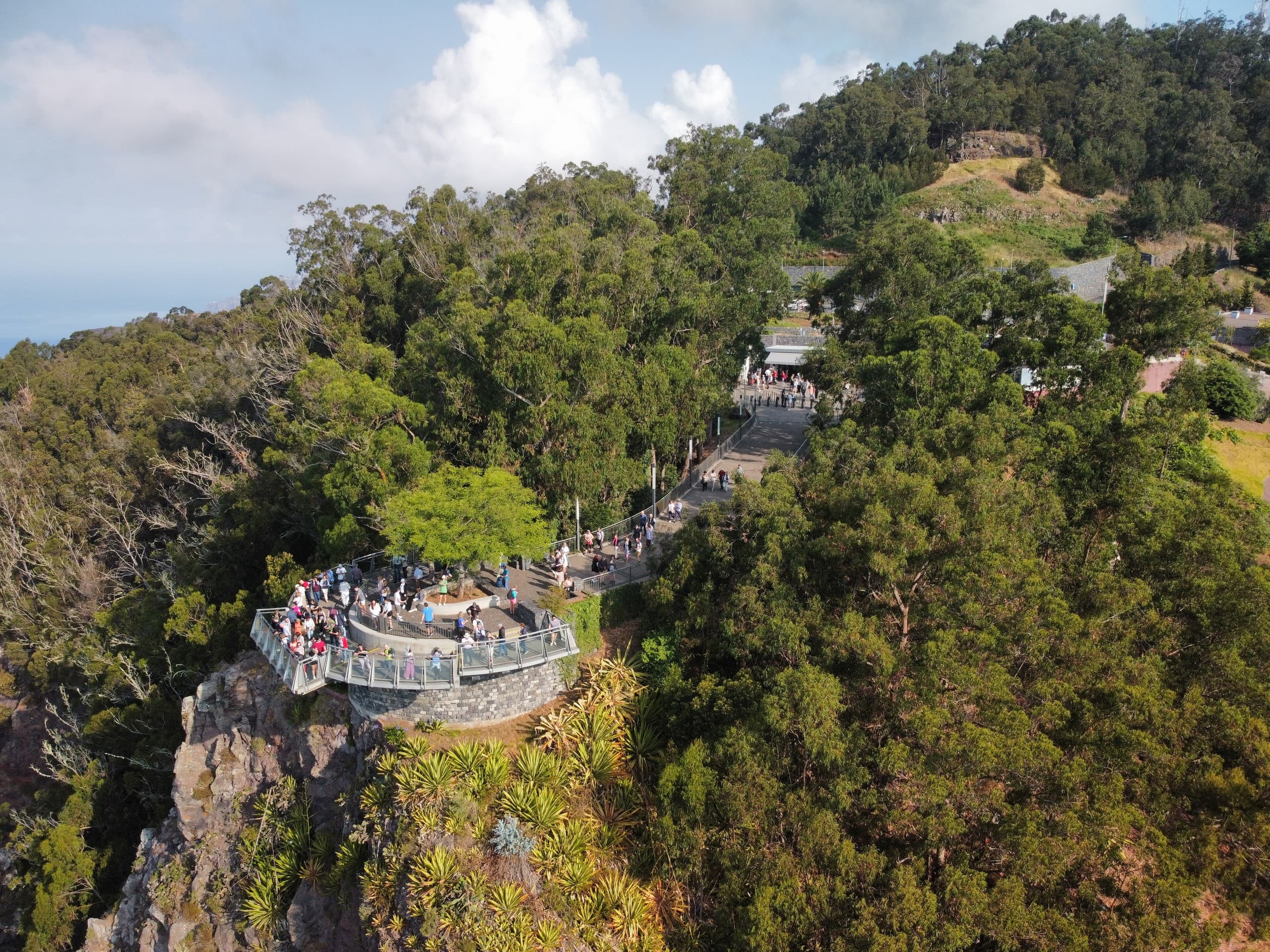 Madeira South Coast Loop: Banana Plantations, Paul da Serra & Ponta do Pargo Lighthouse