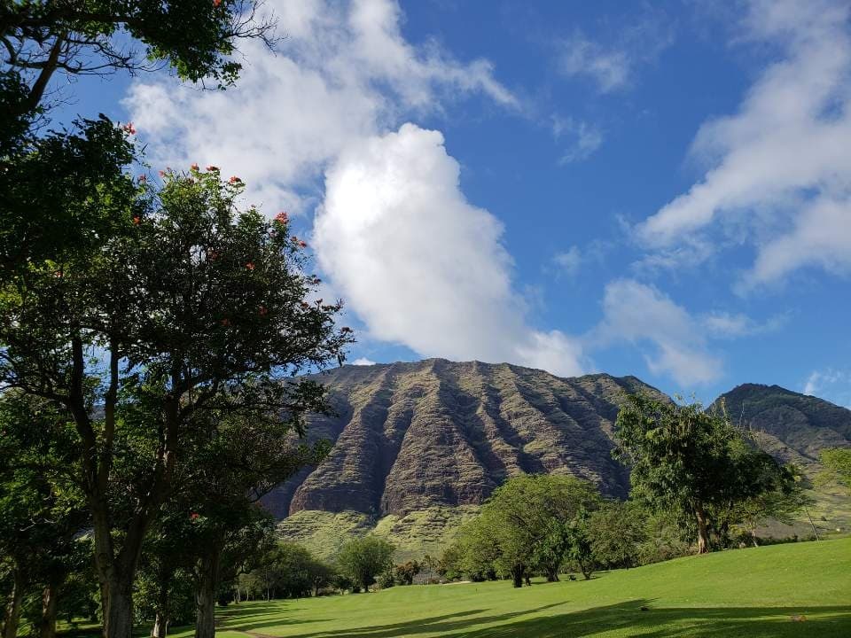 Outdoor Day Trip with Dynamic Tour Hawaii in Honolulu