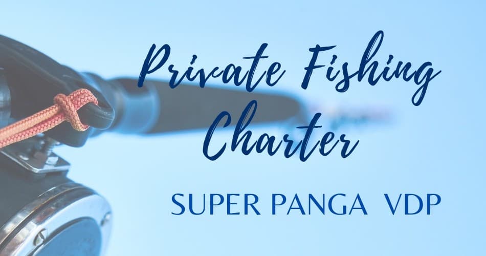 Sea of Cortez Fishing with Loreto Baja Tours