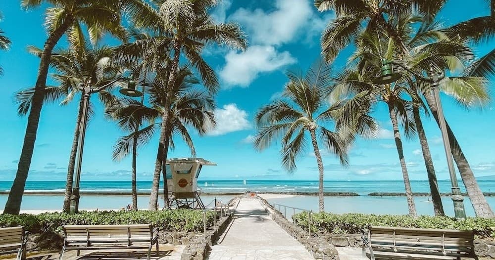Scenic palm-tree boardwalk leading to calm blue Pacific shoreline, Hawaii