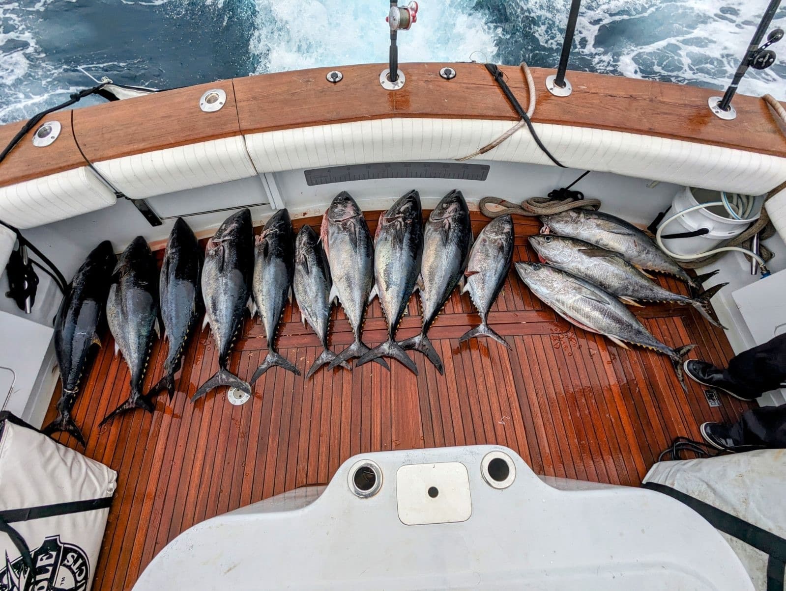 Deep-Sea Fishing with MCJ Boats LLC in San Diego