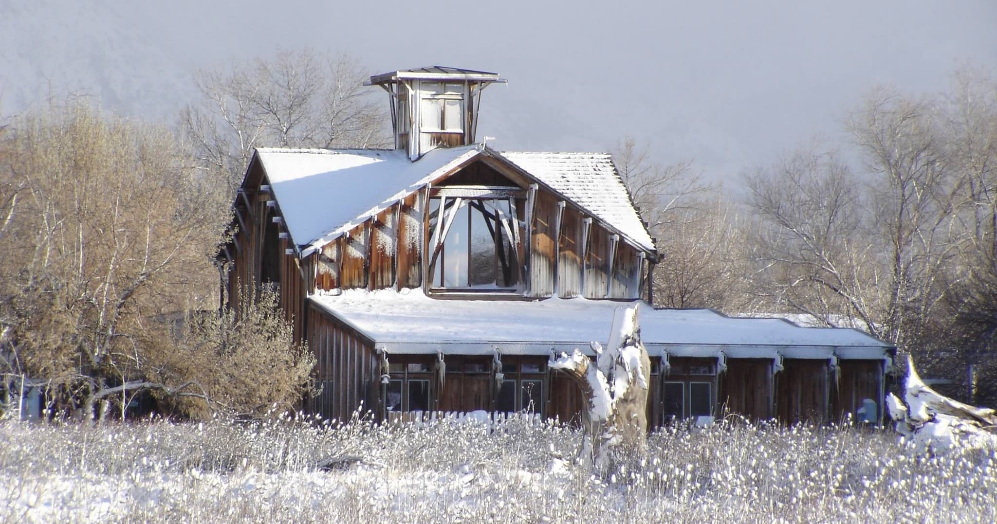 Discover Birdwatching Adventures for All Ages at Ogden Nature Center in Utah
